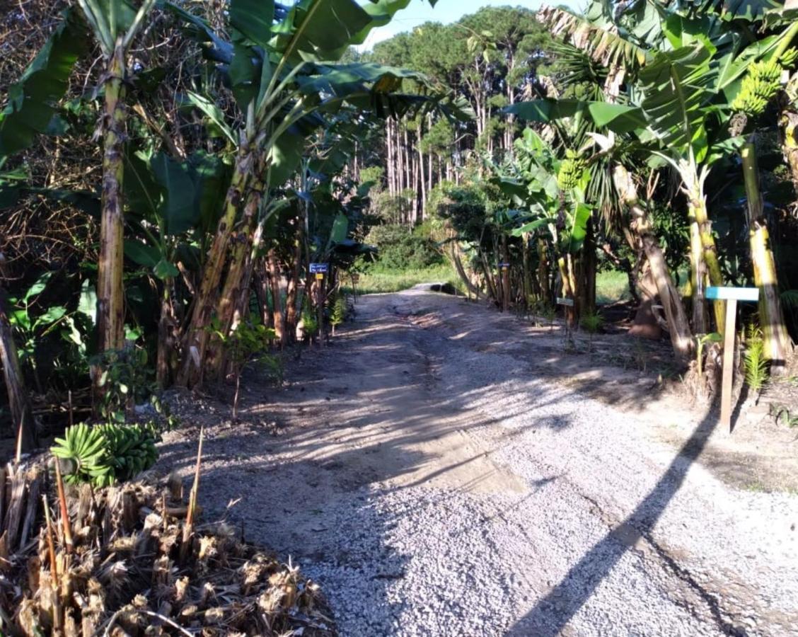 Paradise Bangalo Lodge *